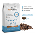 Platinum Vetactive Light Magirefti (FSG) Xira Trofi Paxusarkou Skulou 1,5kg